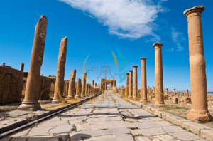 timgad3